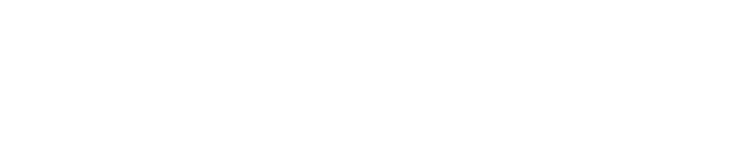 AOLION official logo